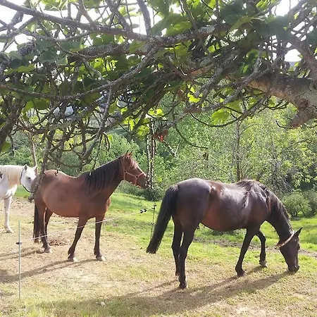 Rural El Espino Szálloda Corao