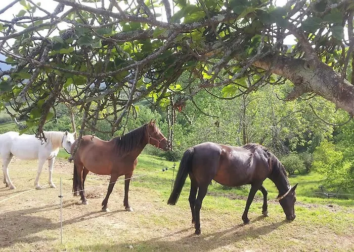 Rural El Espino Hotel Corao